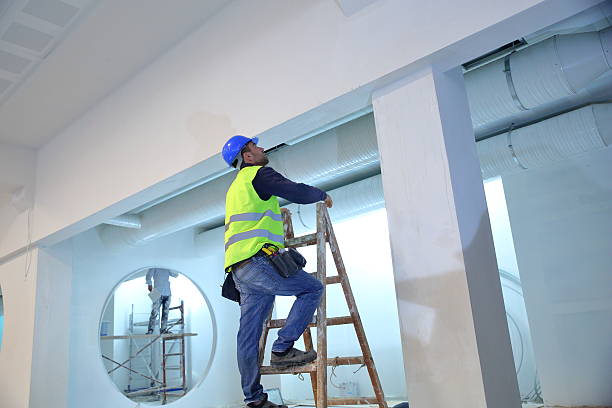 Best Basement Mold Removal  in Milford, IN