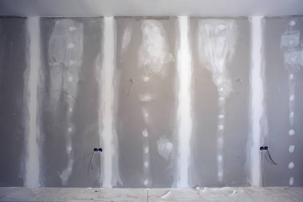 Best Mold Remediation for Healthcare Facilities  in Milford, IN